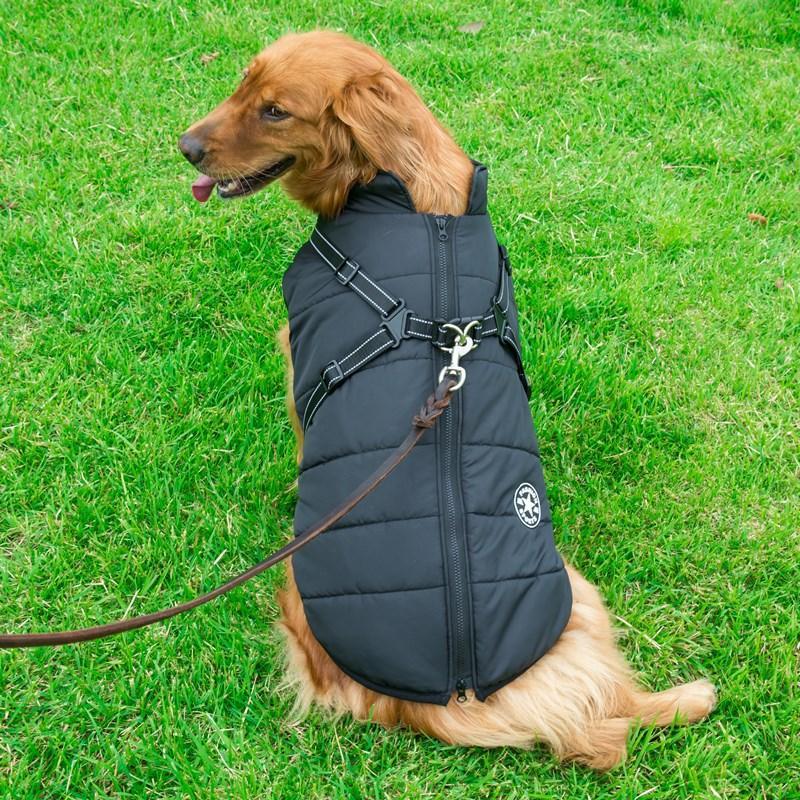 Waterproof Winter Jacket + Harness - Silly Doggo