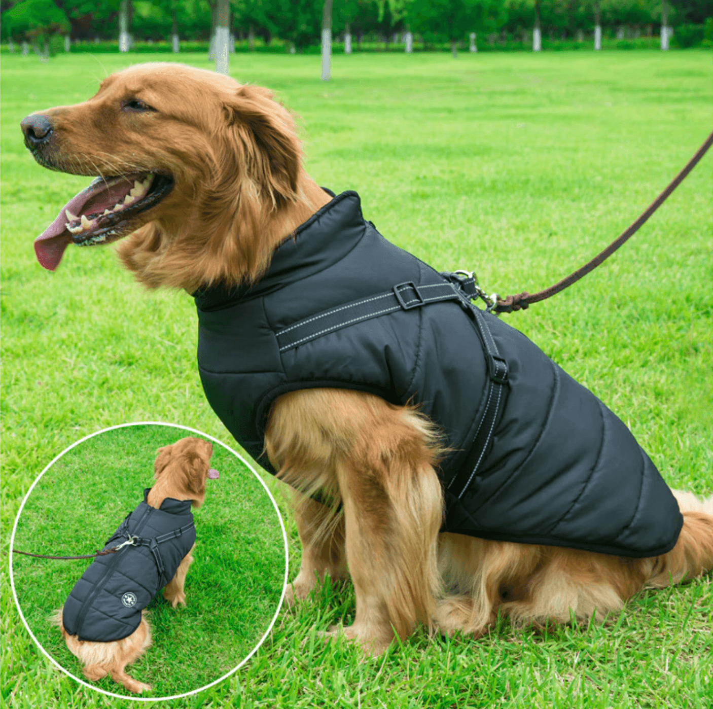 Waterproof Winter Jacket + Harness - Silly Doggo