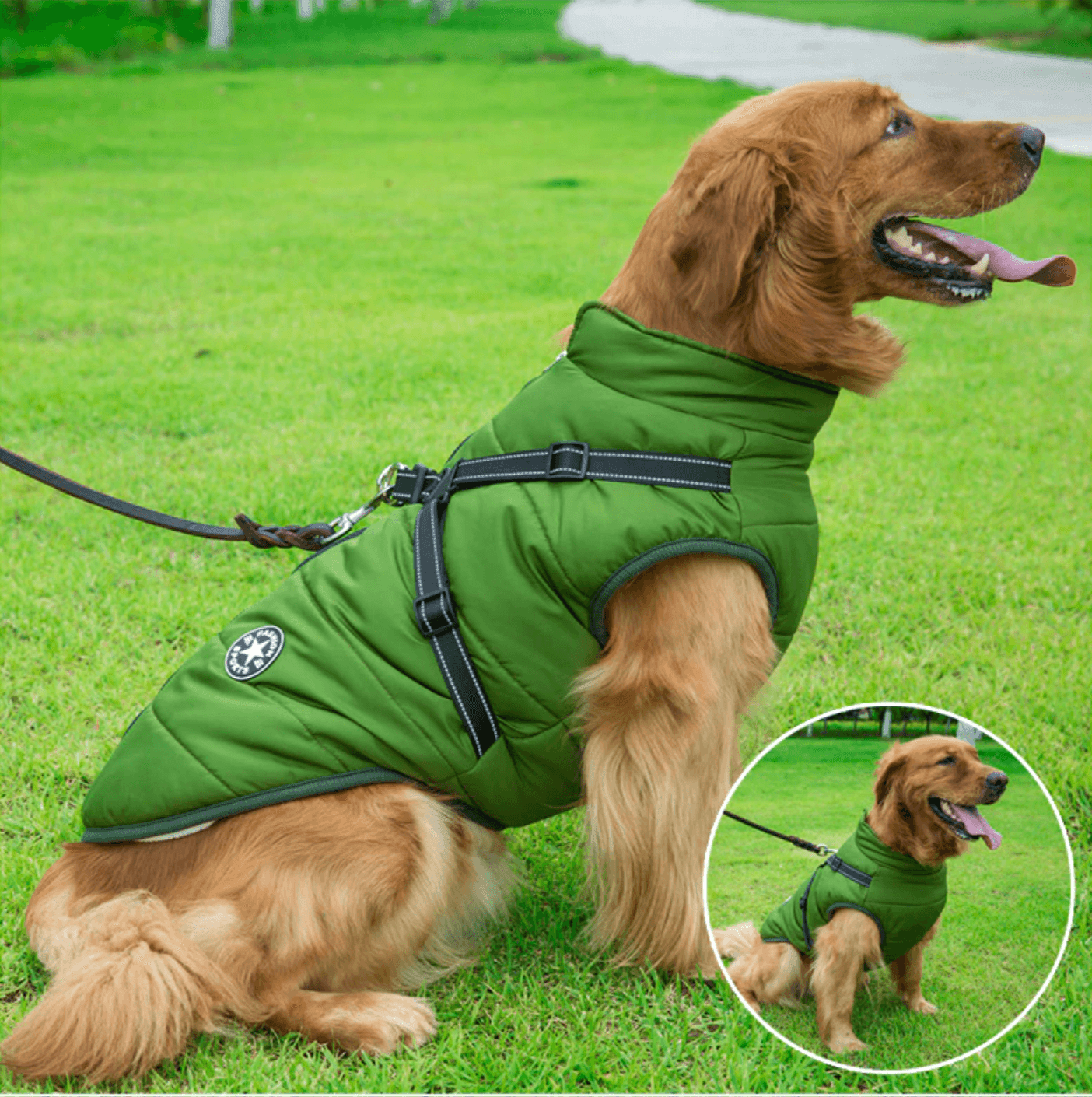 Waterproof Winter Jacket + Harness - Silly Doggo