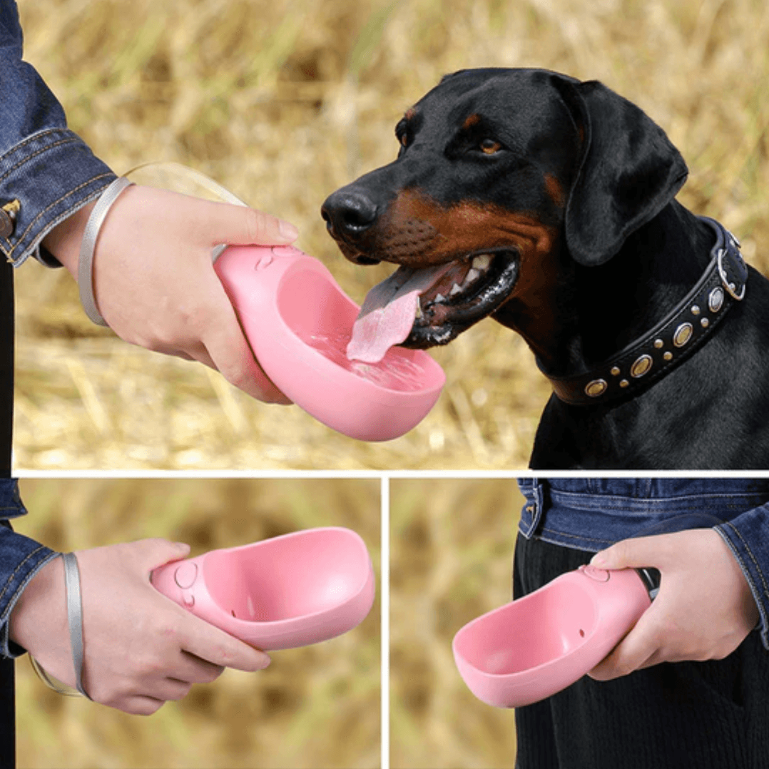 Dog Water Bottle - Silly Doggo
