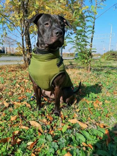 Waterproof Winter Jacket + Harness - Silly Doggo