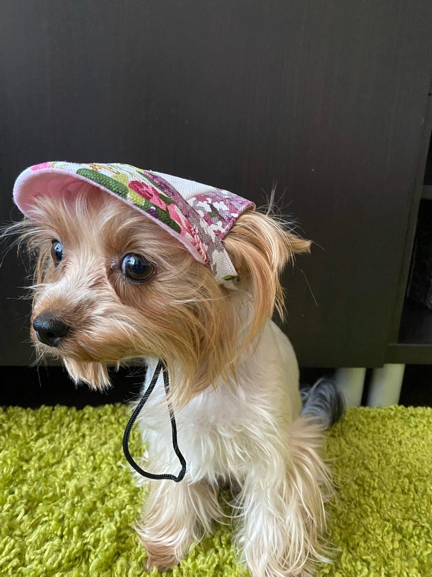 Fitted Summer Dog Hat - Silly Doggo