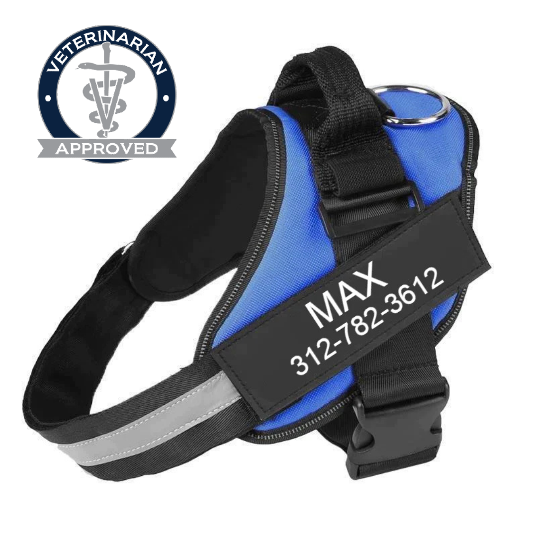 No Pull Dog Harness Pro™