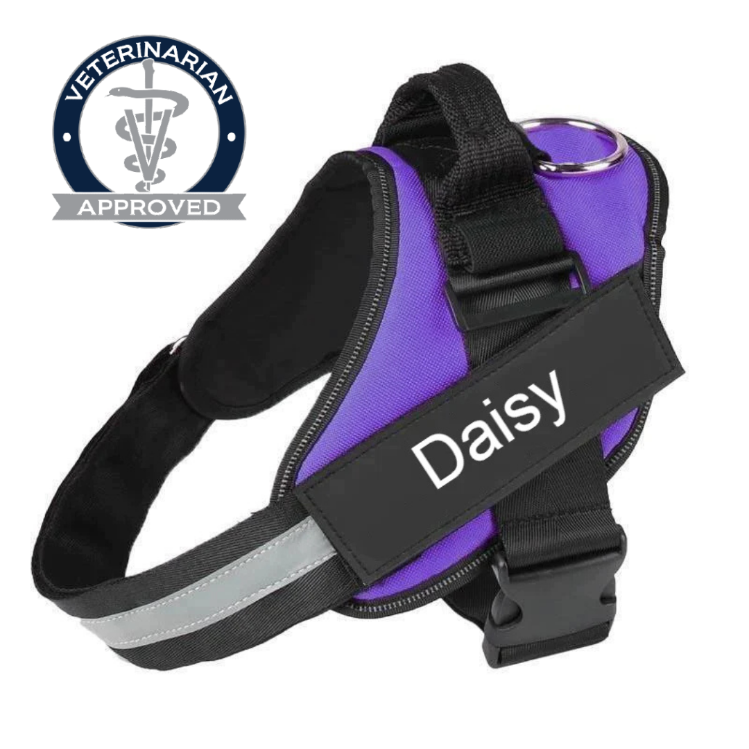 No Pull Dog Harness Pro™