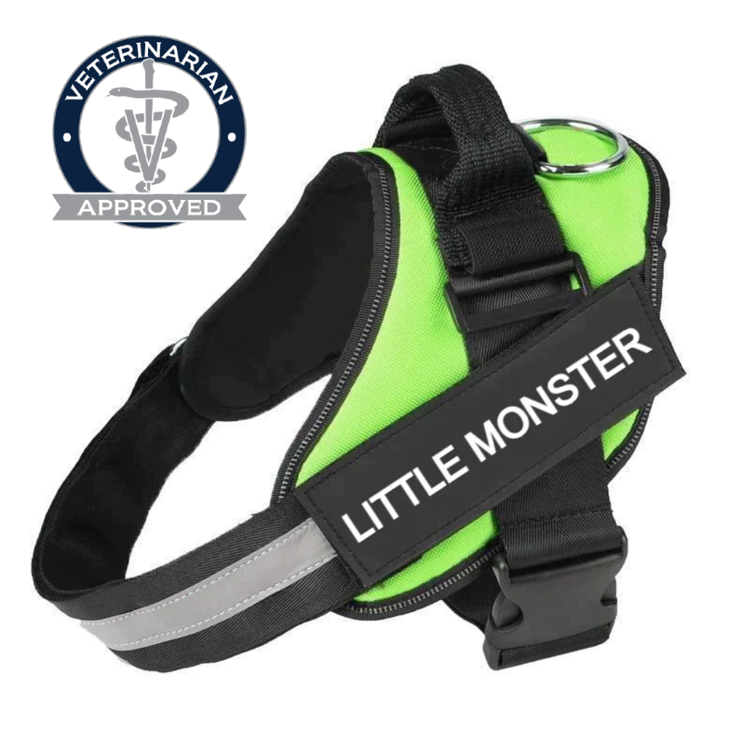 No Pull Dog Harness Pro™