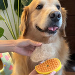 Steamy Pet Brush™