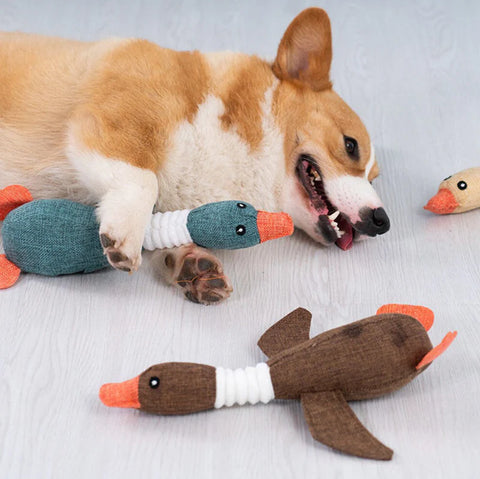 Dog online toy goose