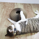 Magic Catcordion - Silly Doggo
