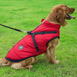 Waterproof Winter Jacket + Harness - Silly Doggo