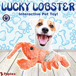 Lucky Lobster - Silly Doggo