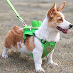Backpack Harness Set - Silly Doggo