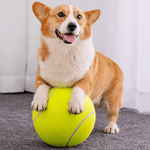 Giant Tennis Ball - DoggosEmporium