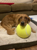 Giant Tennis Ball - DoggosEmporium