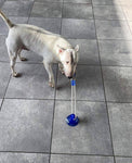 Suction Cup Tug Toy - Silly Doggo