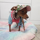 Fitted Summer Dog Hat - Silly Doggo