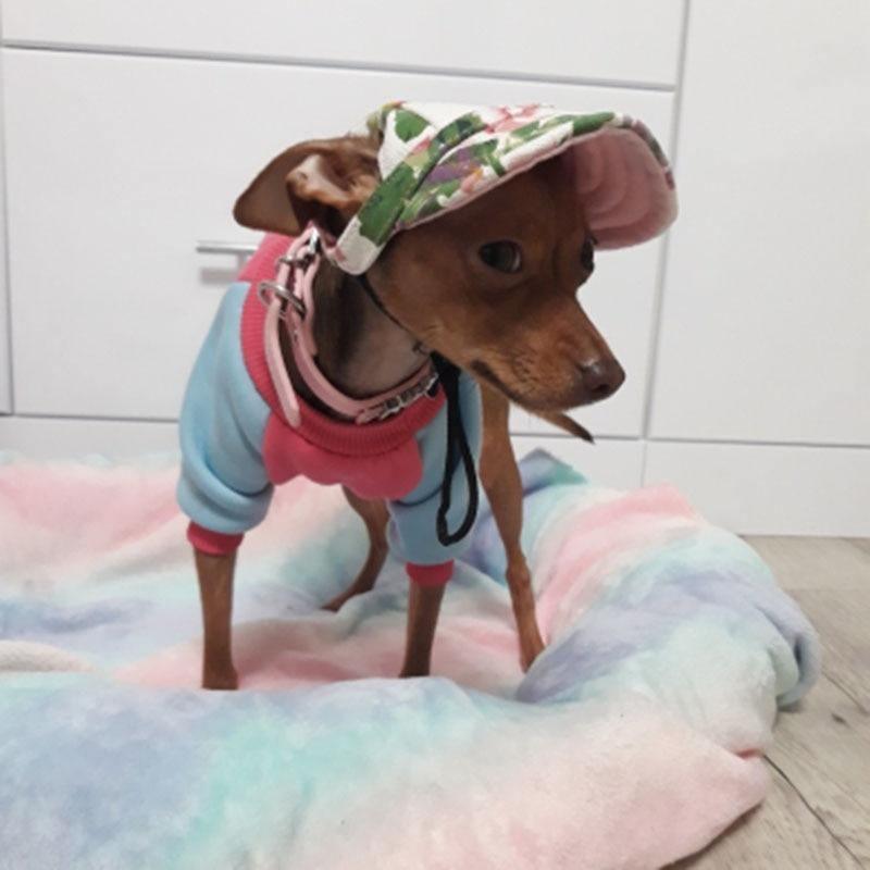 Fitted Summer Dog Hat - Silly Doggo