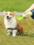 2 in 1 Portable Water Bottle - Silly Doggo