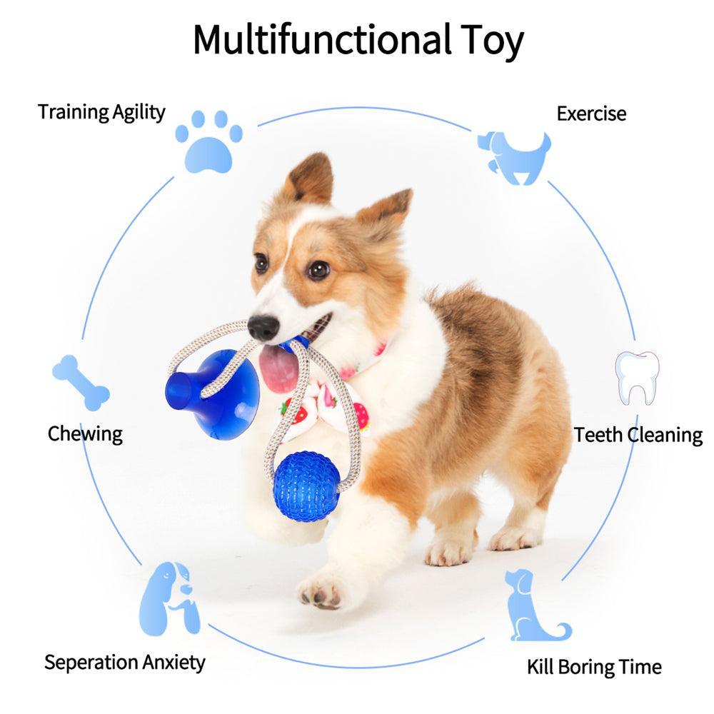 Suction Cup Tug Toy - Silly Doggo