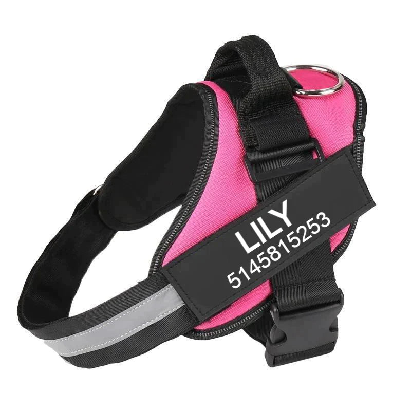 Julius no top pull harness