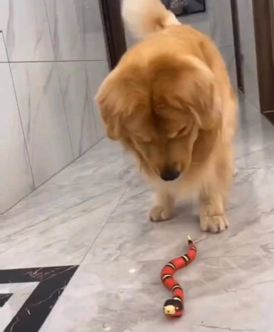 Smart Sensing Snake - Silly Doggo