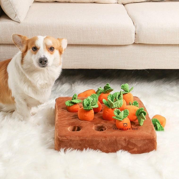 Carrot Farm - Silly Doggo