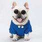 Round Stylish Dog Glasses - Silly Doggo