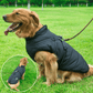 Waterproof Winter Jacket + Harness - Silly Doggo