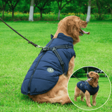 Waterproof Winter Jacket + Harness - Silly Doggo