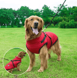 Waterproof Winter Jacket + Harness - Silly Doggo