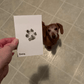 Paw Print Stamp Pad - Silly Doggo
