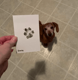 Paw Print Stamp Pad - Silly Doggo