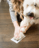 Paw Print Stamp Pad - Silly Doggo