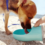 Dog Water Bottle - Silly Doggo