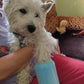 Dog Paw Cleaner Pro™ - Silly Doggo
