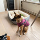 Waterproof Winter Jacket + Harness - Silly Doggo