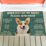 House Rules Doormat - Silly Doggo