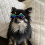 Round Stylish Dog Glasses - Silly Doggo