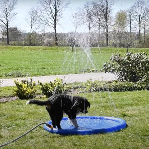 Pool Water Fountain Mat, Water Fountain Pool Dog