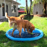 Sprinkler Splash Pad - Silly Doggo