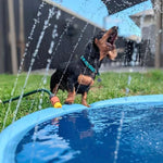 Sprinkler Splash Pad - Silly Doggo