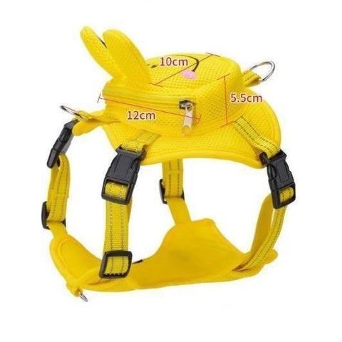 Backpack Harness