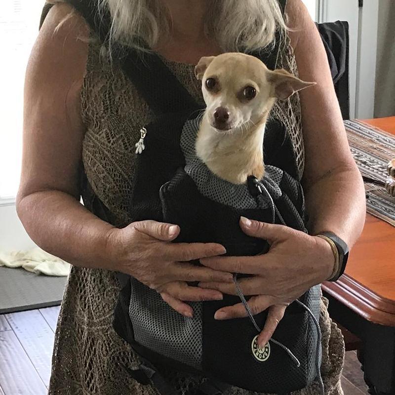 Comfy Dog Backpack - Silly Doggo
