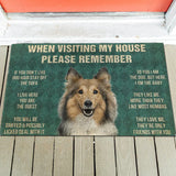 House Rules Doormat - Silly Doggo